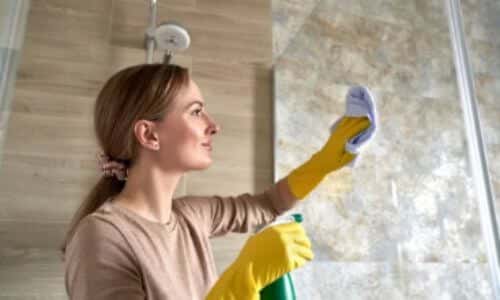 Prestazioni di lavoro occasionale